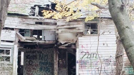 What used to be known as the Rutherford-Stuyvesant estates, the profanity houses are abandoned decaying houses covered in graffiti inspired by teenage angst, but this isn't normal graffiti. Absurd sexual references are written over every possible wall and space in these houses. The floors are caved in and the stairs are barely sturdy enough to support any weight. You can feel the negative energy the houses emit just looking at them. The artist of the graffiti was a very damaged individual.
#profanityhouses #abandoned #graffiti #haunted #decay