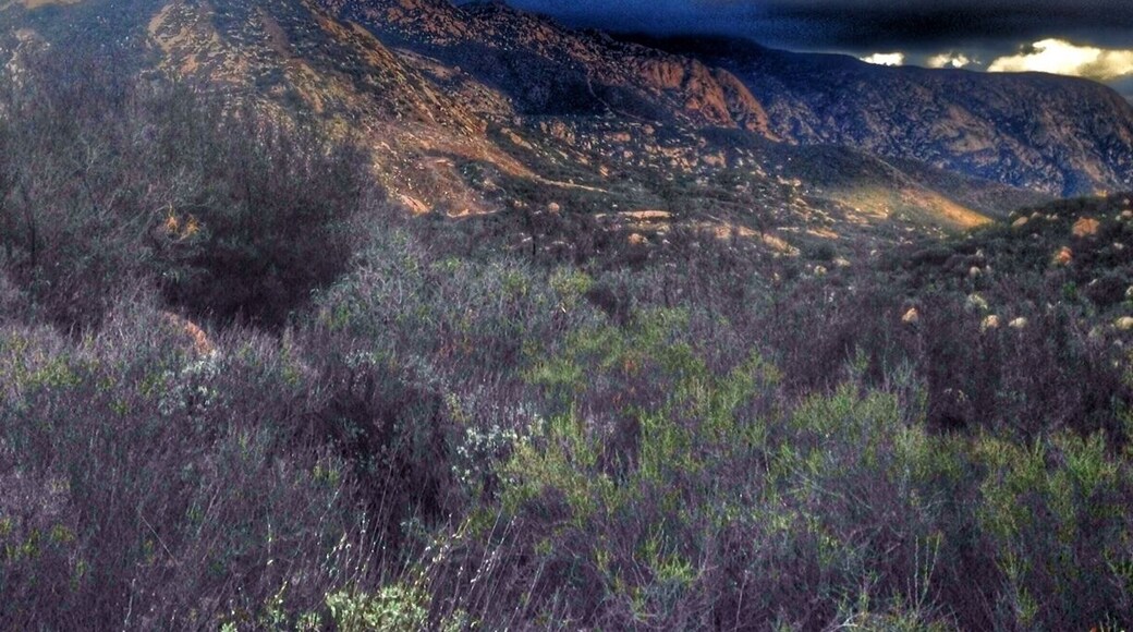 My favorite hike in San Diego city area. Just a 30 minute drive from the city.