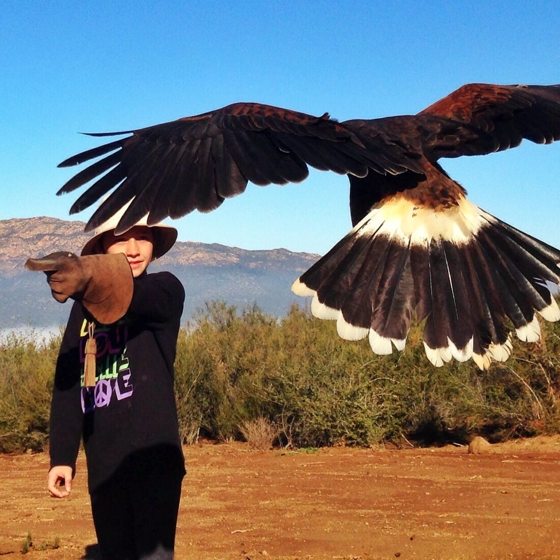 One of my youngins at falconry class. Highly recommended! Mt El Cajon / San Diego El Capitan is in background. 
