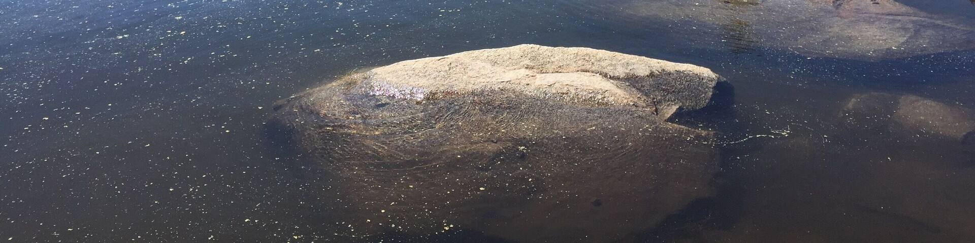 Alpine lake California in the Sierra Mountain range is a wonderful escape a couple hours from Sacramento or San Francisco California