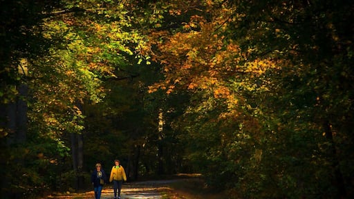Roaring Run Trail is an easy hike or bike trail along the Kiski River