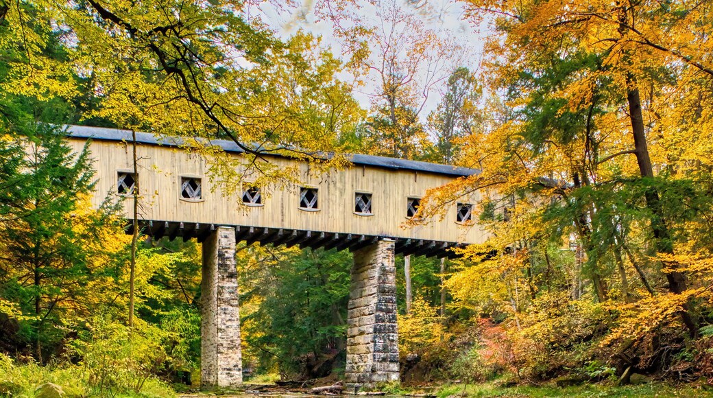 Windsor Mills Covered Bridge, Ashtabula County, Ohio