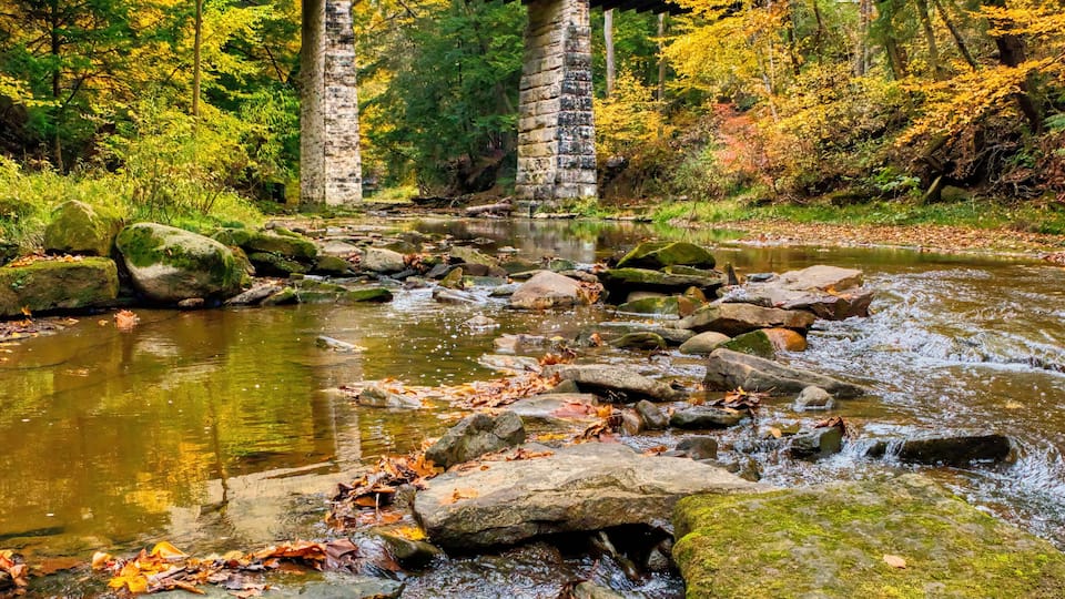 A stone bridge over a flowing river with autumn leaves, surrounded by trees.