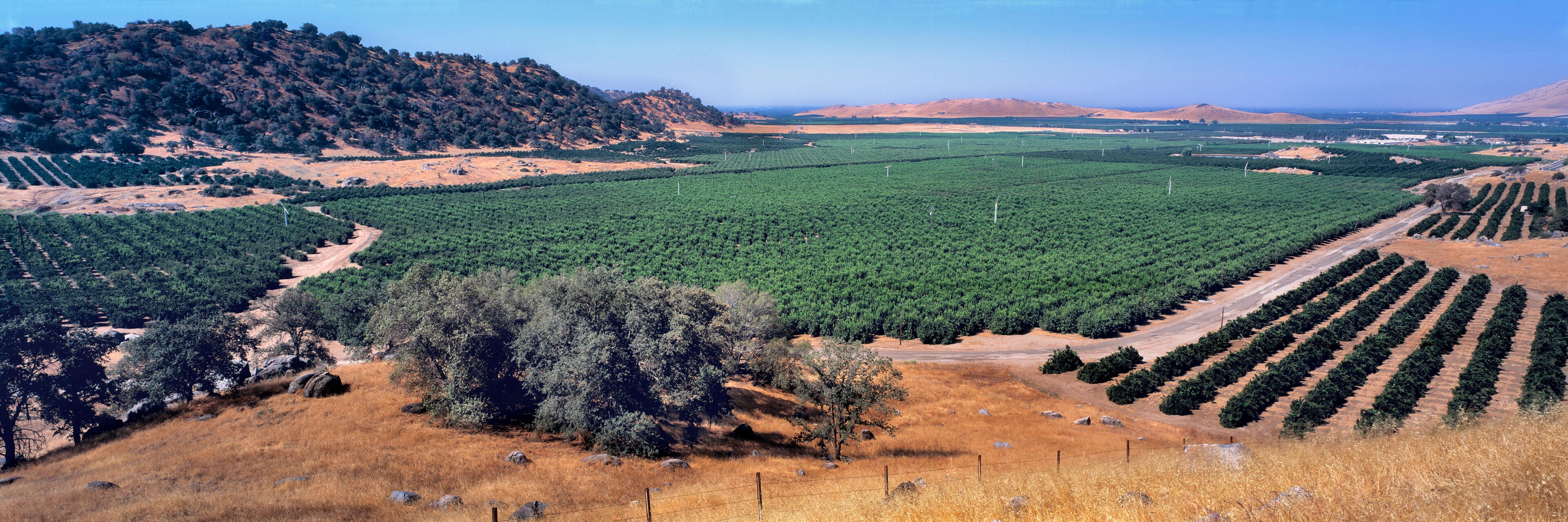 A vast agricultural landscape with rows of crops and a hilly backdrop.