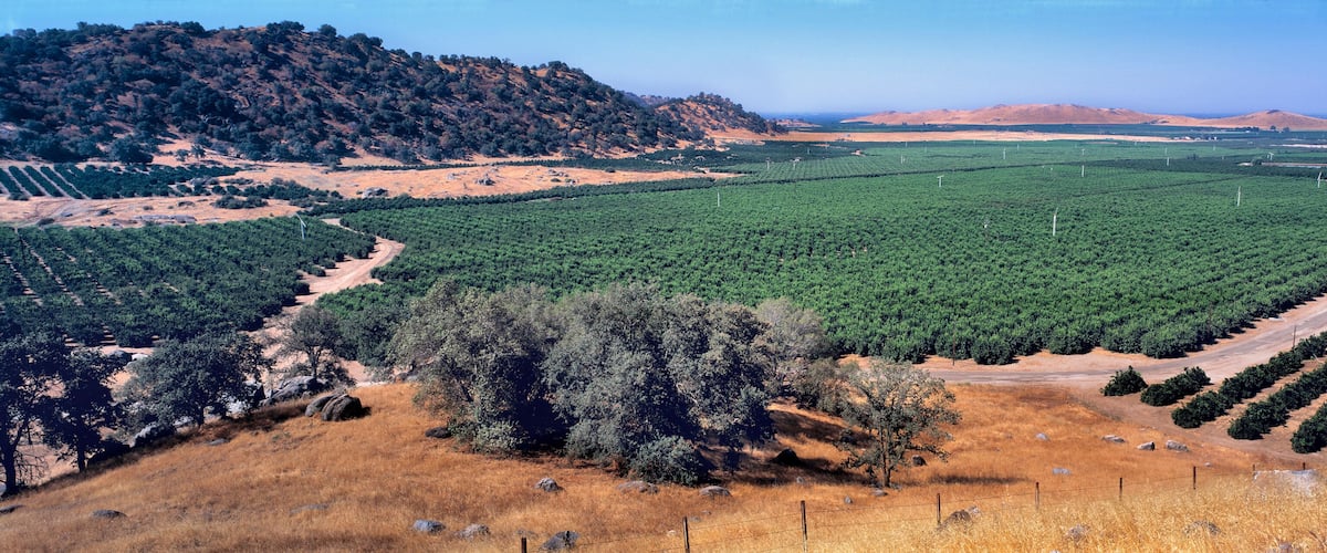 A vast agricultural landscape with rows of crops and a hilly backdrop.