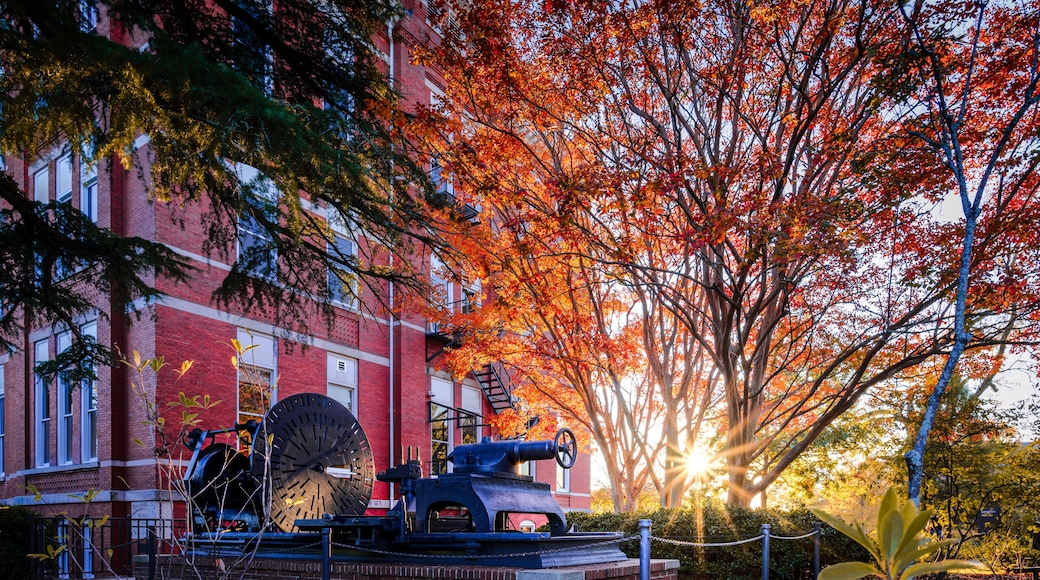 Fall in Auburn University 2022