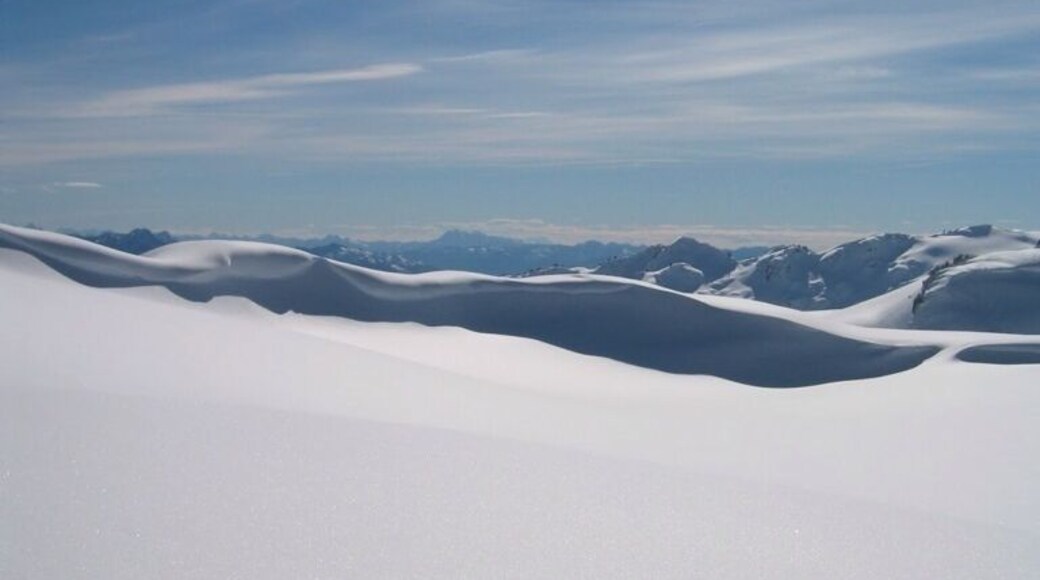 Sun, mountains and untouched snow. It made for a glorious day.
We donned our snowshoes at the Mt. Baker ski lifts and quickly left the crowds behind.
