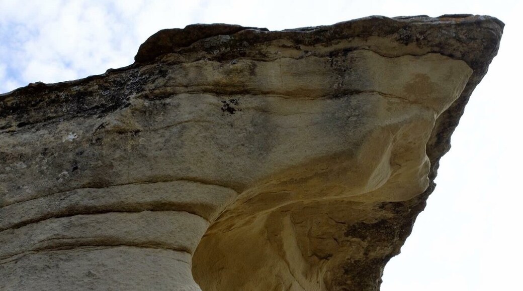 3,379 feet in elevation..which is pretty high for Montana