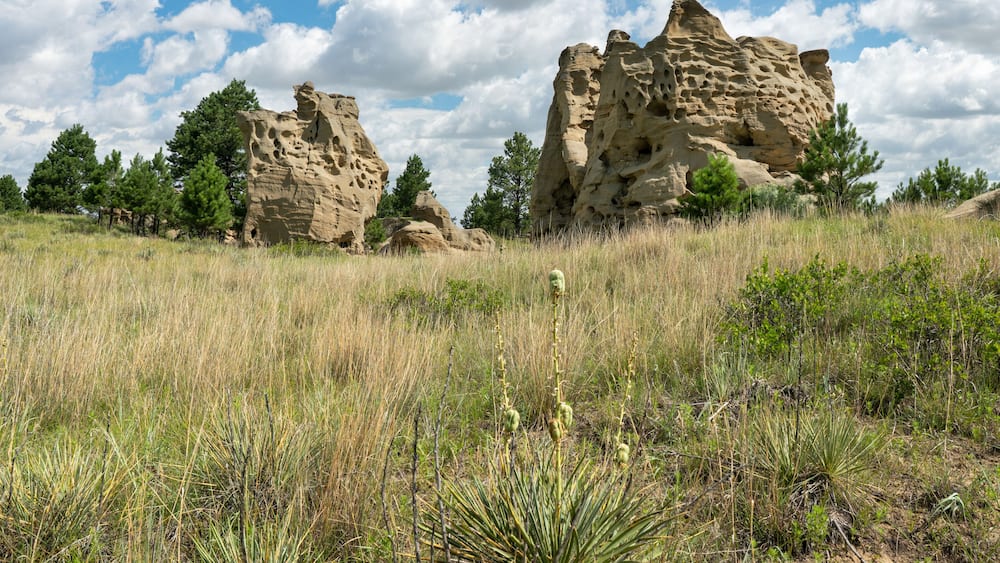 Medicine Rocks State Park Montana