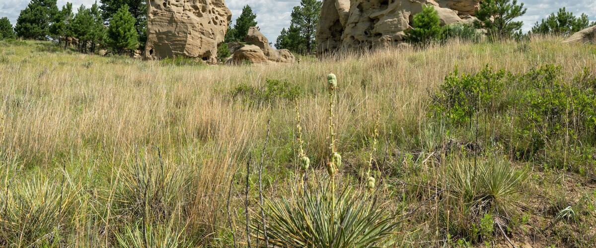 Medicine Rocks State Park Montana