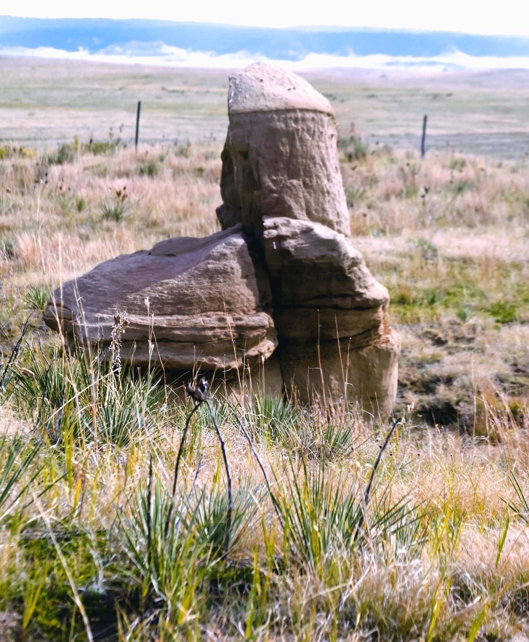 If you visit plan a whole day because time disappears when you here!! So much to see and explore!!!