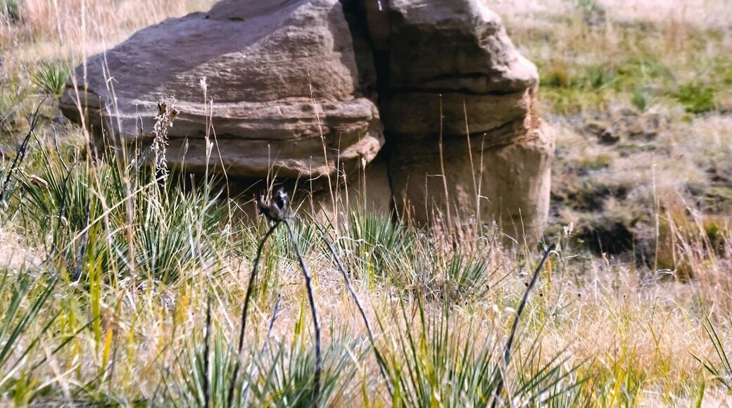 If you visit plan a whole day because time disappears when you here!! So much to see and explore!!!