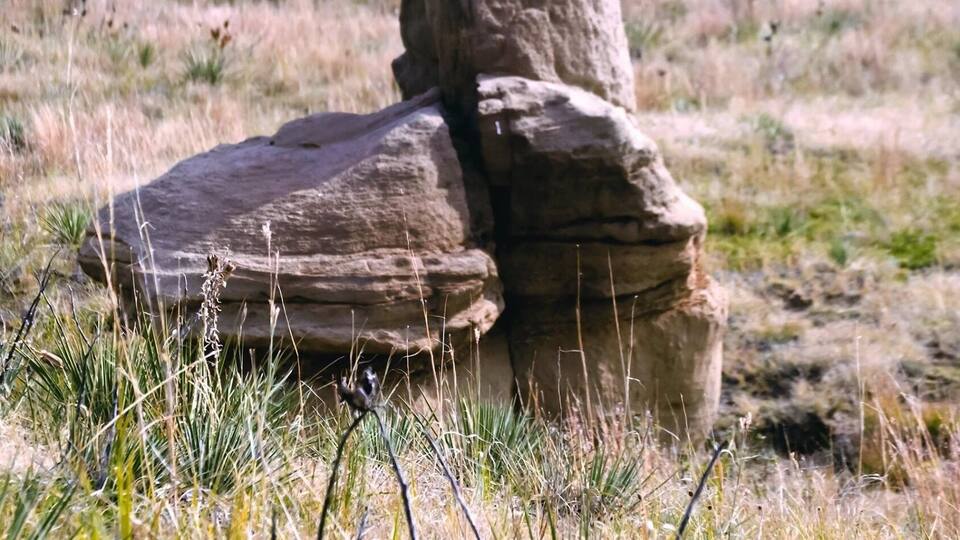 A large rock formation in a grassy field with a fence in the background.