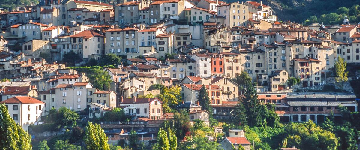 A densely packed hillside town with historic buildings and a forested hill in the background.