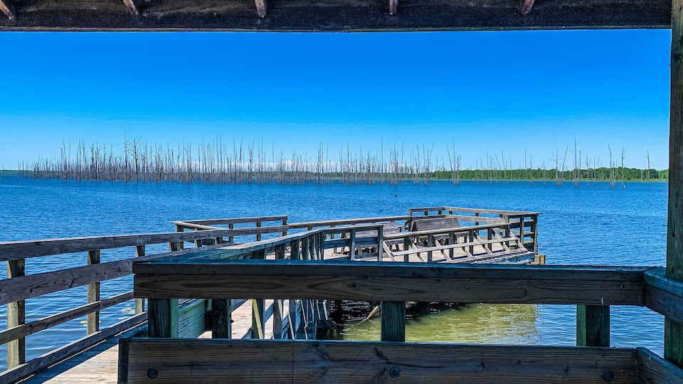 view of Cane Creek Lake in Arkansas