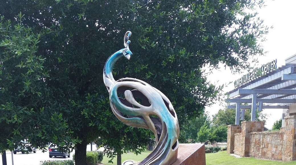 Peacock sculpture by Dan Pogue - "Moment of Reflection". Placed by Bastrop Art in Public Places