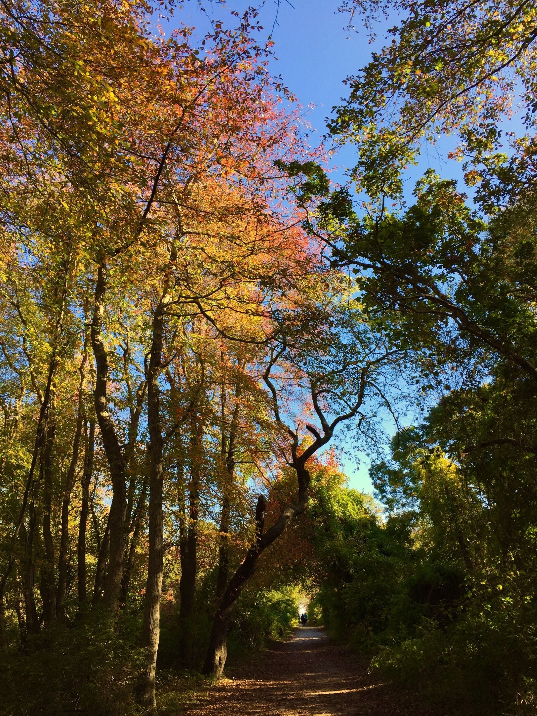 The blend of color ! 