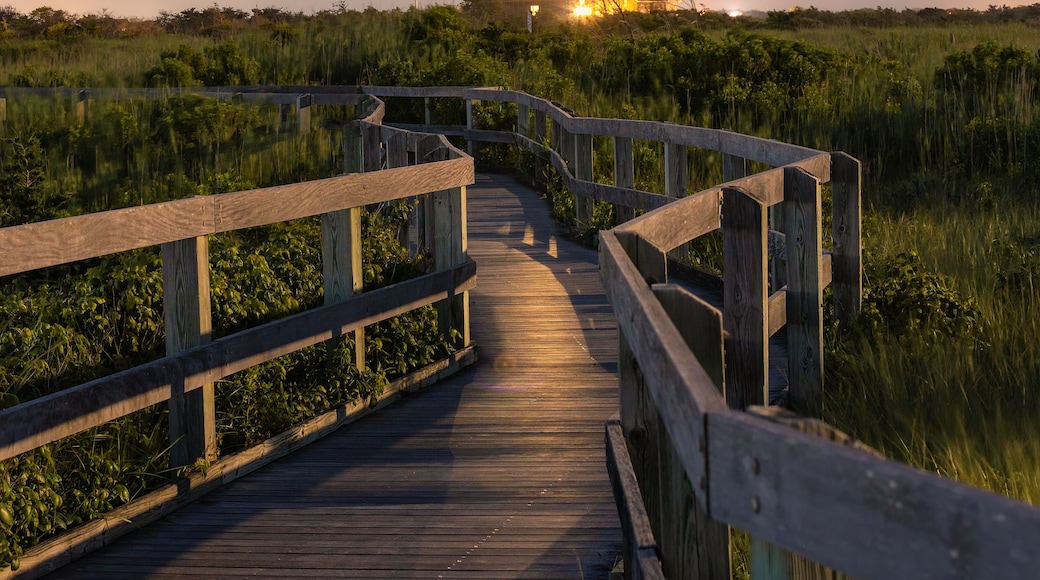 Bay Shore