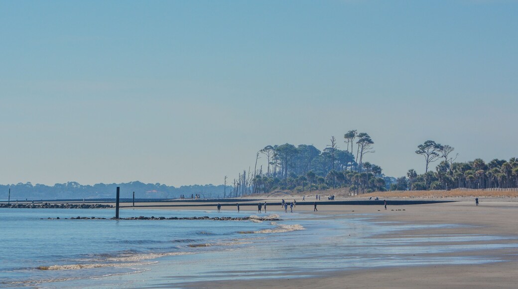 Hunting Island State Park's sandy beach on the Atlantic Ocean, Hunting Island, Beaufort County, South Carolina