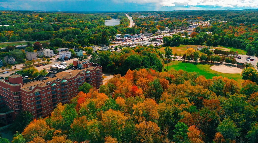 Bedford