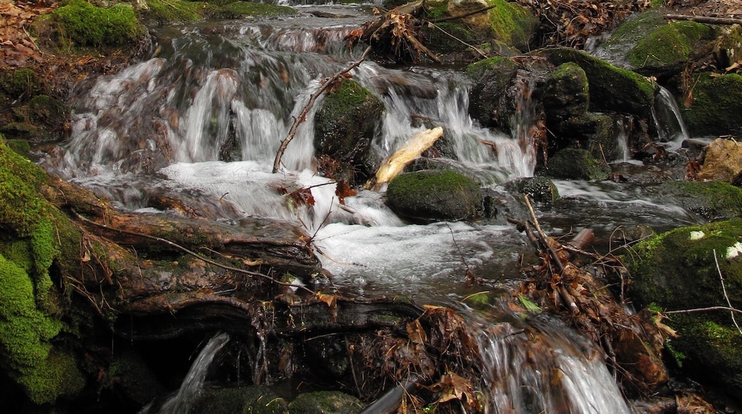 Waterfalls in Bedford NH