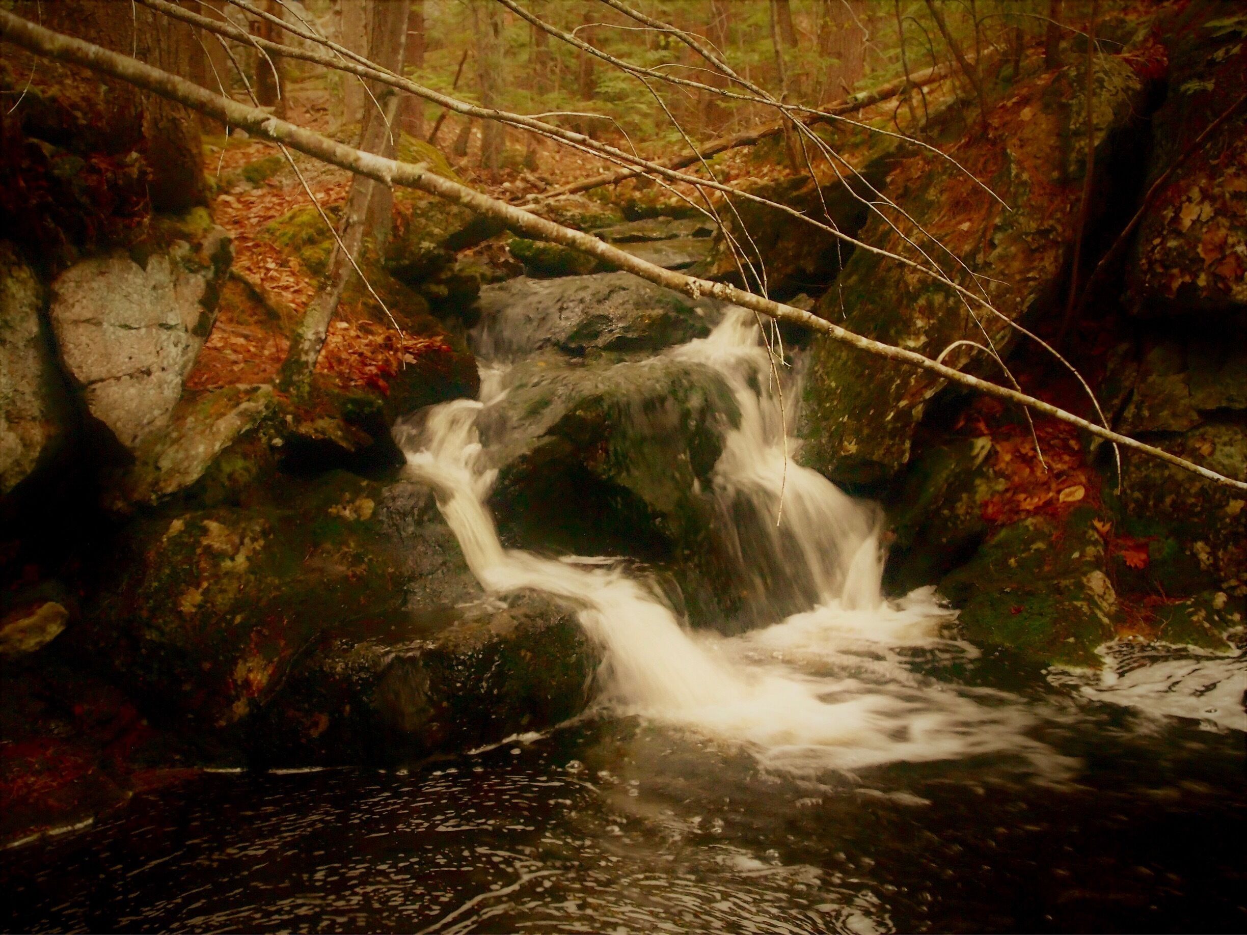 Pulpit rock conservation area