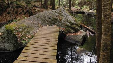 Quick trip to Bedford NH