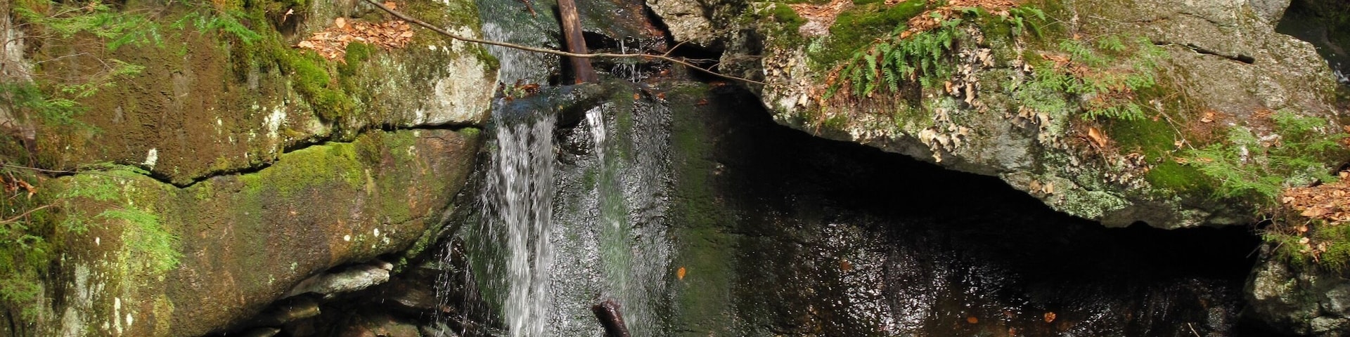 Nice trails close to home