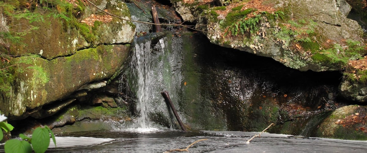 Nice trails close to home