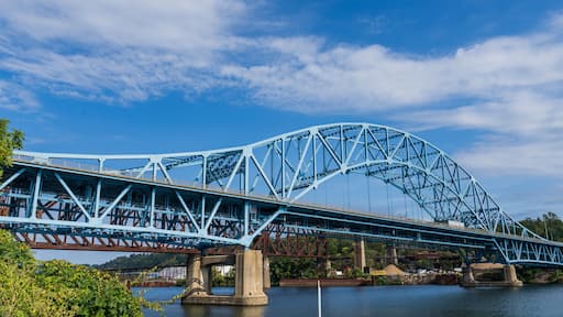 Belle Vernon Bridge, also known as the Speers-Belle Vernon Bridge is a suspended deck continuous through truss bridge that goes over the Monongahela River in Pennsylvania