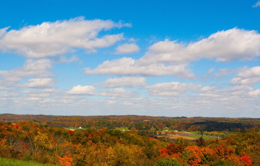 Fall Colors, Central Ohio
