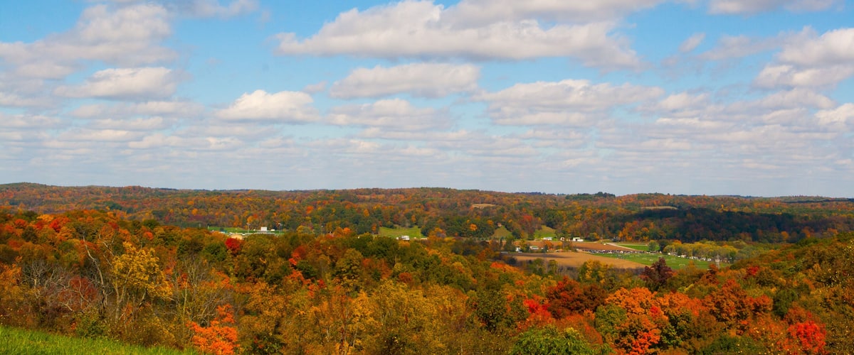 Fall Colors, Central Ohio
