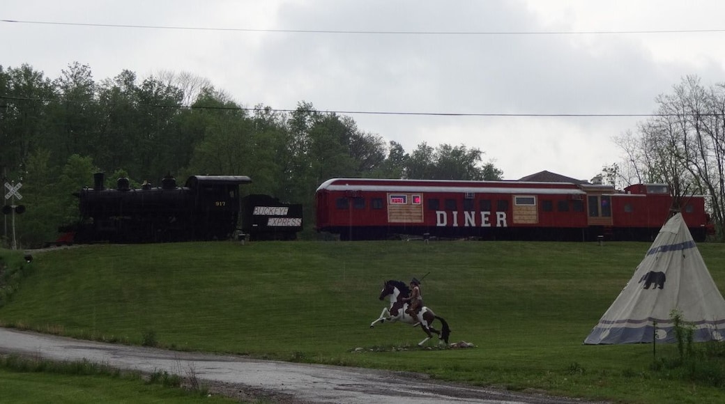 This place is definitely unique. It can be easy to miss because it's set back off the road a bit, but you'll for sure know it when you see it. Located on top of a hill inside of an old train car with the engine attached. The decor is Ohio State Buckeyes merch overload with a smattering of railroad memorabilia.
The menu is fairly burger-centric (no arguments here).
In need of a light meal? Try the Buckeye Belly Buster!
8lbs of Hamburger
1lb of Bacon
Salami
Pepperoni
American and Swiss Cheese
Grilled Mushrooms
Grilled Onions
Lettuce
Tomatoes
And Woody Sauce, clocking in at just over 10 pounds!