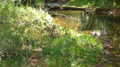 Cedar Fork Creek in Belleville, OH.