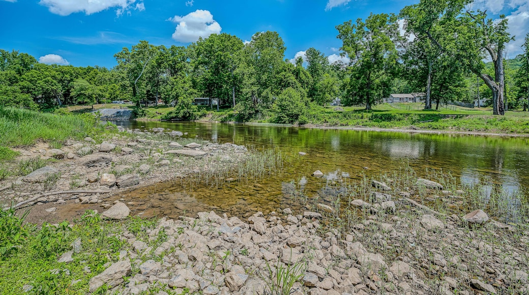 A river with clear water, surrounded by lush green trees and a rocky riverbank.