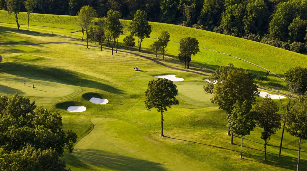 برناردزفيل