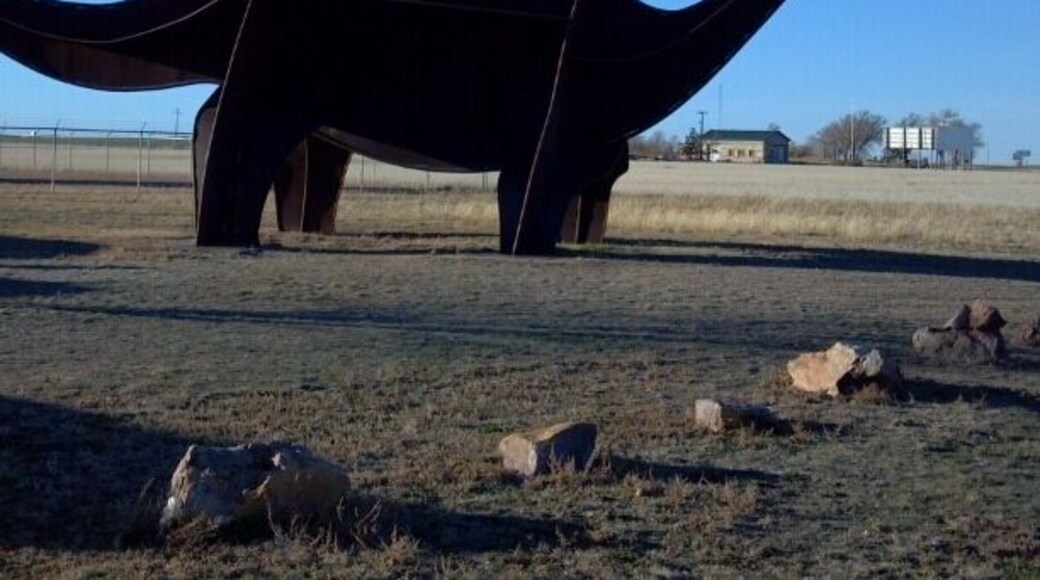 Have you ever been through Boise City? It's an unusual place. The town was founded on fraud. Some con-men distributed pamphlets selling land plots. The pamphlets claim there was a thriving community with artisan springs. When the buyers of the plots arrived here, they found harsh conditions.
Boise City was hit especially hard during the dust bowl in the 1930's. And in 1943, Boise City was the only bombed by pilots who mistook the town for target during a training exercise for WWII.
This dinosaur greets visitors coming south from Colorado as they enter the town.