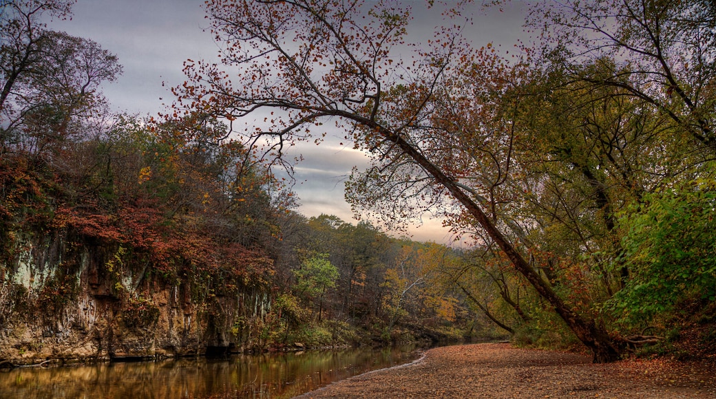 Beauty of the Unfolding Autumn. Big River St. Francois State Park 8920 US Highway 67, Bonne Terre, MO A bluff forms an impenetrable wall to the movement of water