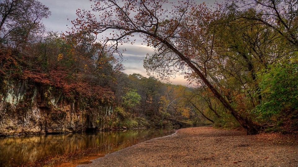 A river with a forested bank, a fallen tree, and autumn-colored leaves.