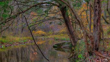 Coonville Creek St. Francois State Park 8920 US Highway 67, Bonne Terre, MO