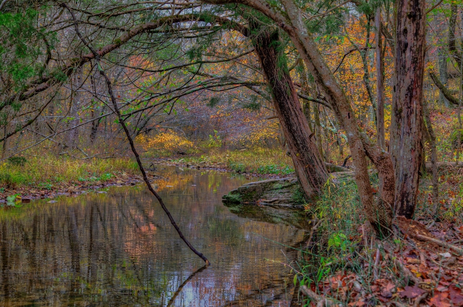 Coonville Creek St. Francois State Park 8920 US Highway 67, Bonne Terre, MO