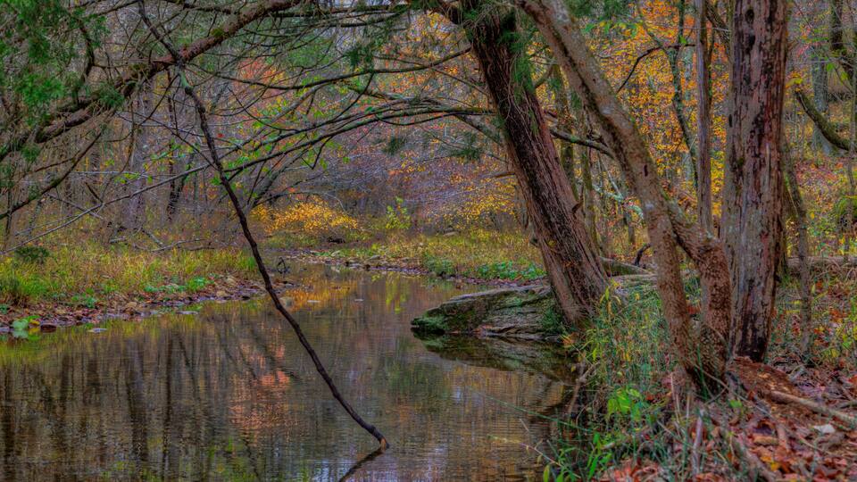A calm river surrounded by autumn foliage and trees.