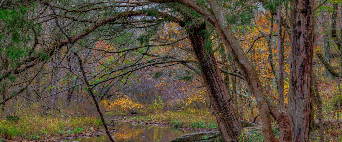 A calm river surrounded by autumn foliage and trees.