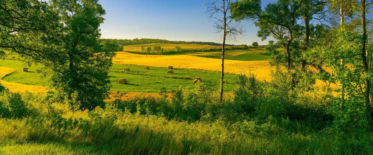 Rolling hills, hay bales, and lush greenery.