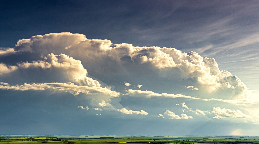 ๋ณดํฐ๋
ธ