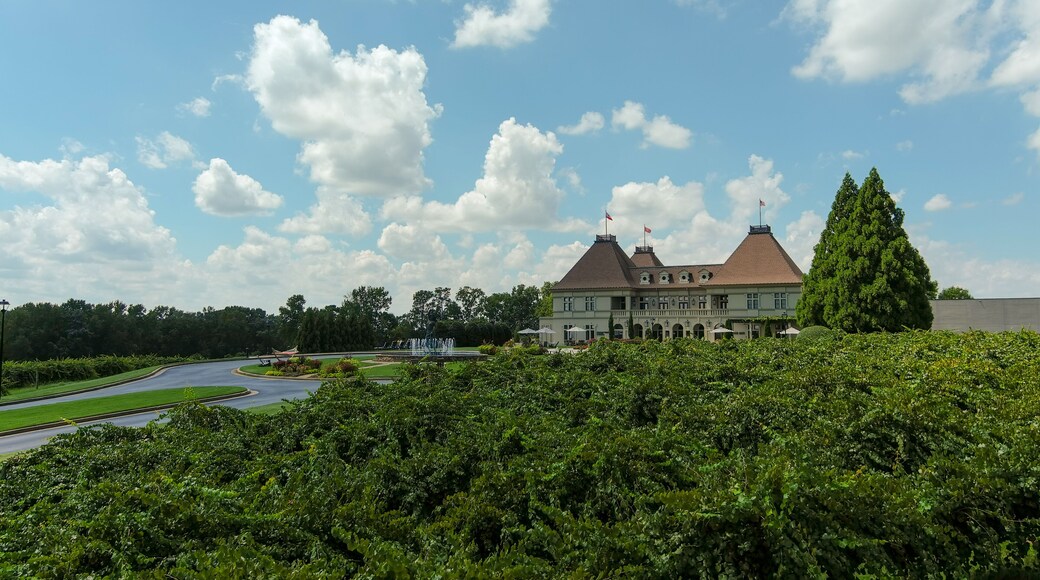 ブラッセルトン