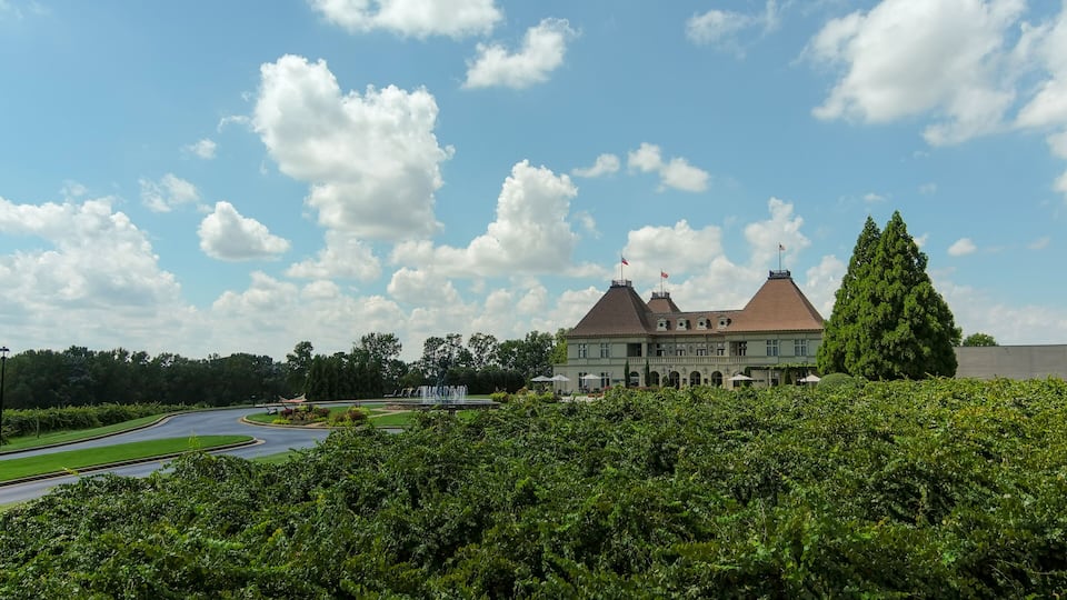 an aerial shot of a gorgeous summer landscape at the vineyard with miles of lush green trees grass and plants with blue sky and clouds in Braselton Georgia USA