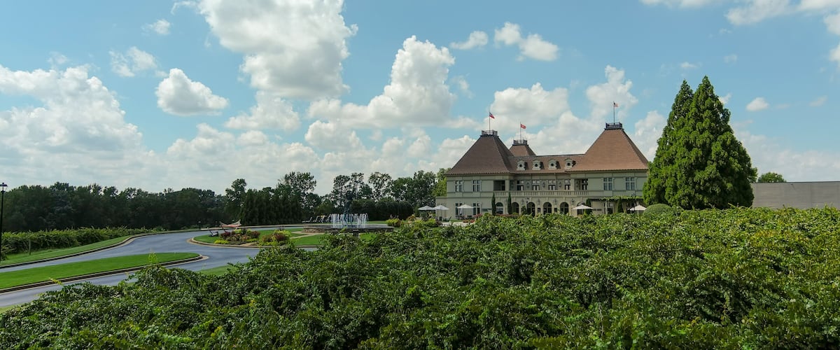 an aerial shot of a gorgeous summer landscape at the vineyard with miles of lush green trees grass and plants with blue sky and clouds in Braselton Georgia USA