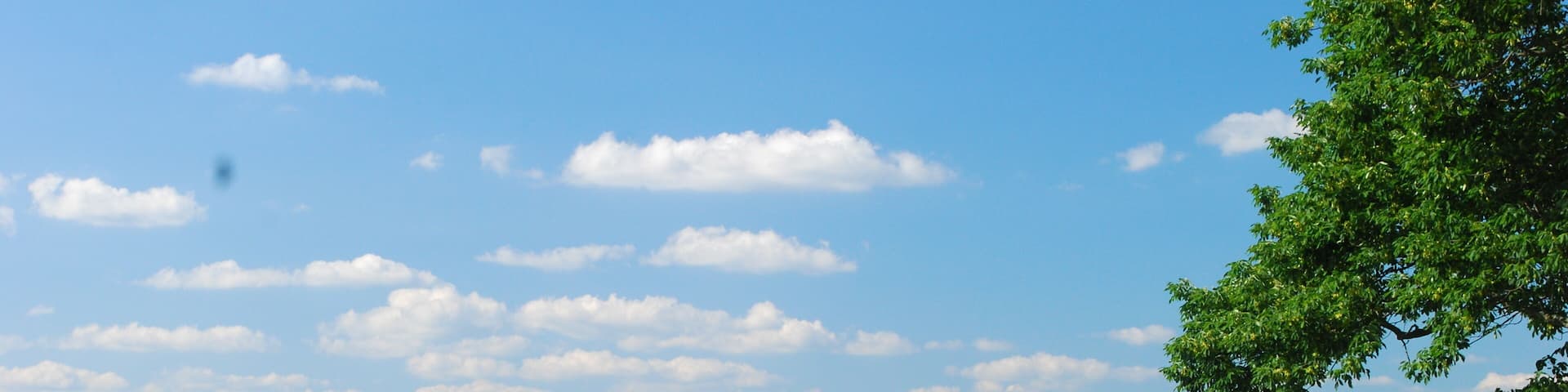 Brookville Lake Indiana