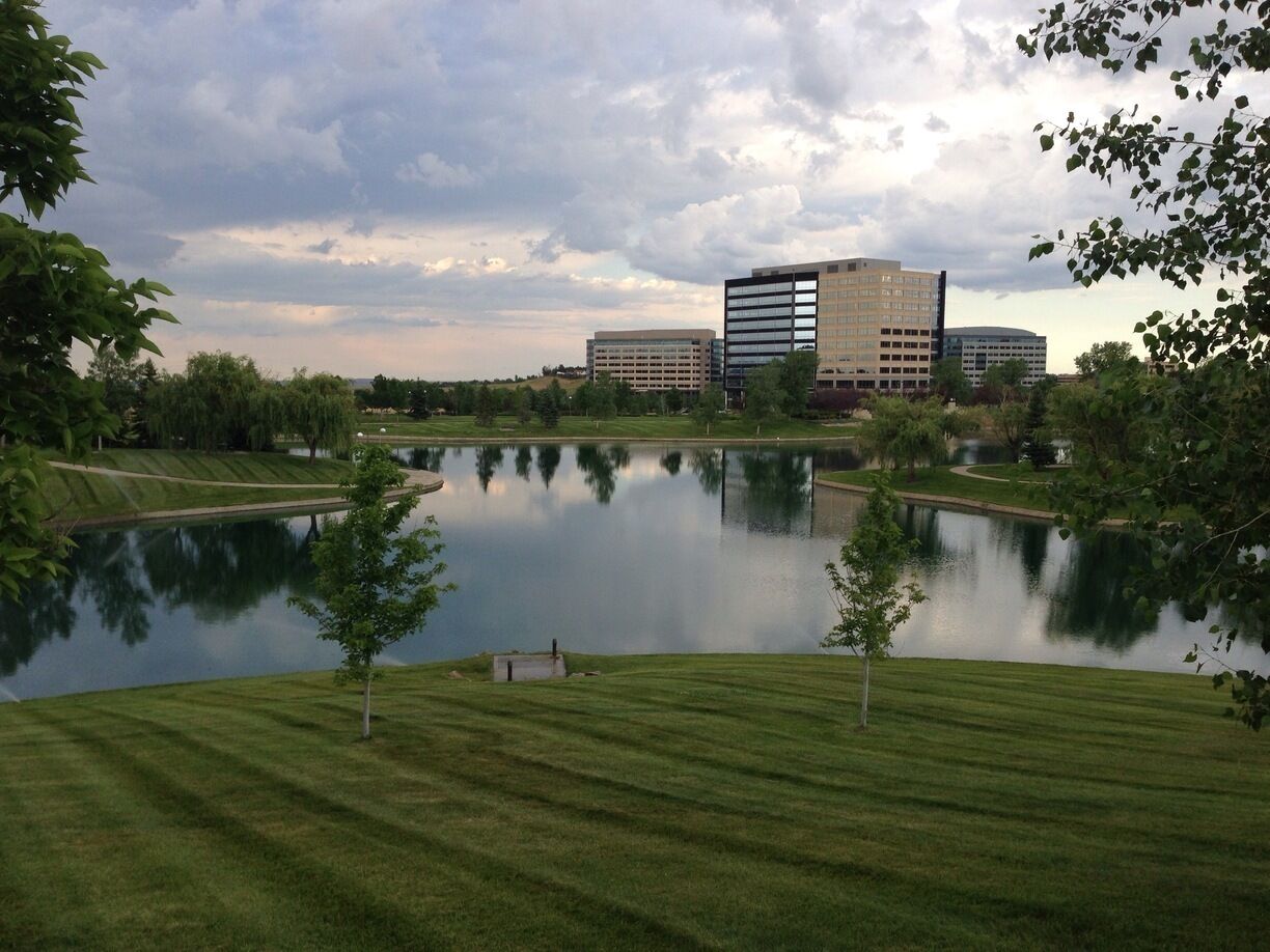 Nice little pond with swans, there is a path around used for walking, running and bike riding. Plus some benches to sit on. 